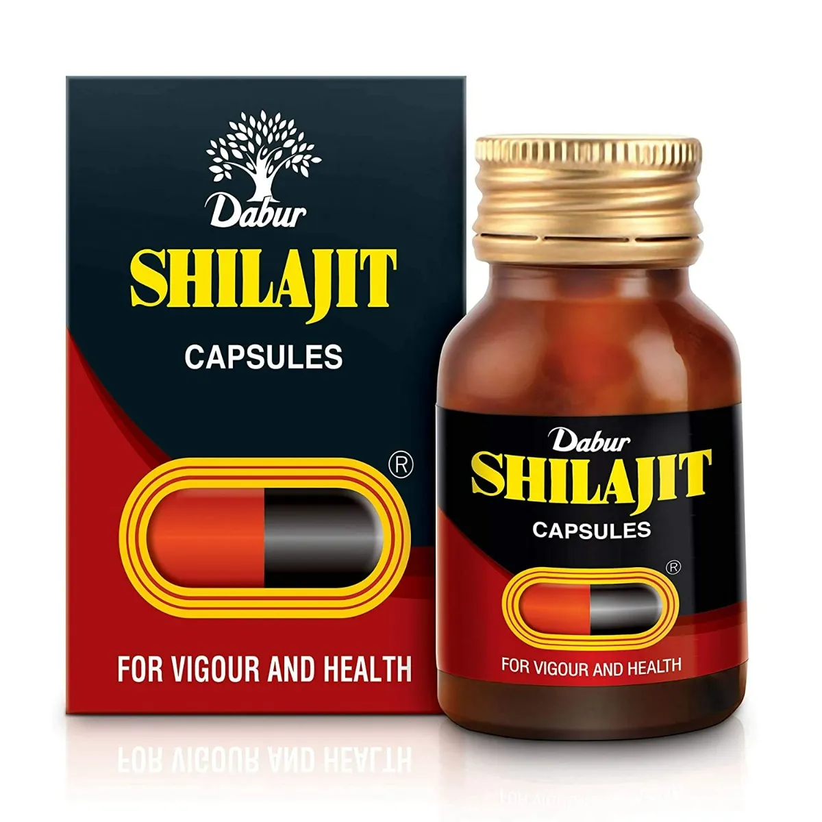 Dabur Shilajit