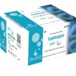 Am I Rapid LEPTOSPIRA IgG/IgM Rapid Test of 30