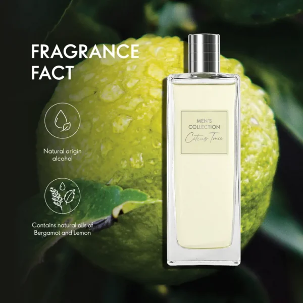 Oriflame Men's Collection Citrus Tonic Eau de Toilette - 75 ml  (For Men) - Image 5