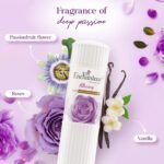Enchanteur1.jpg