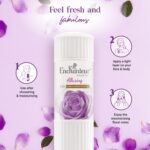 Enchanteur1.jpg