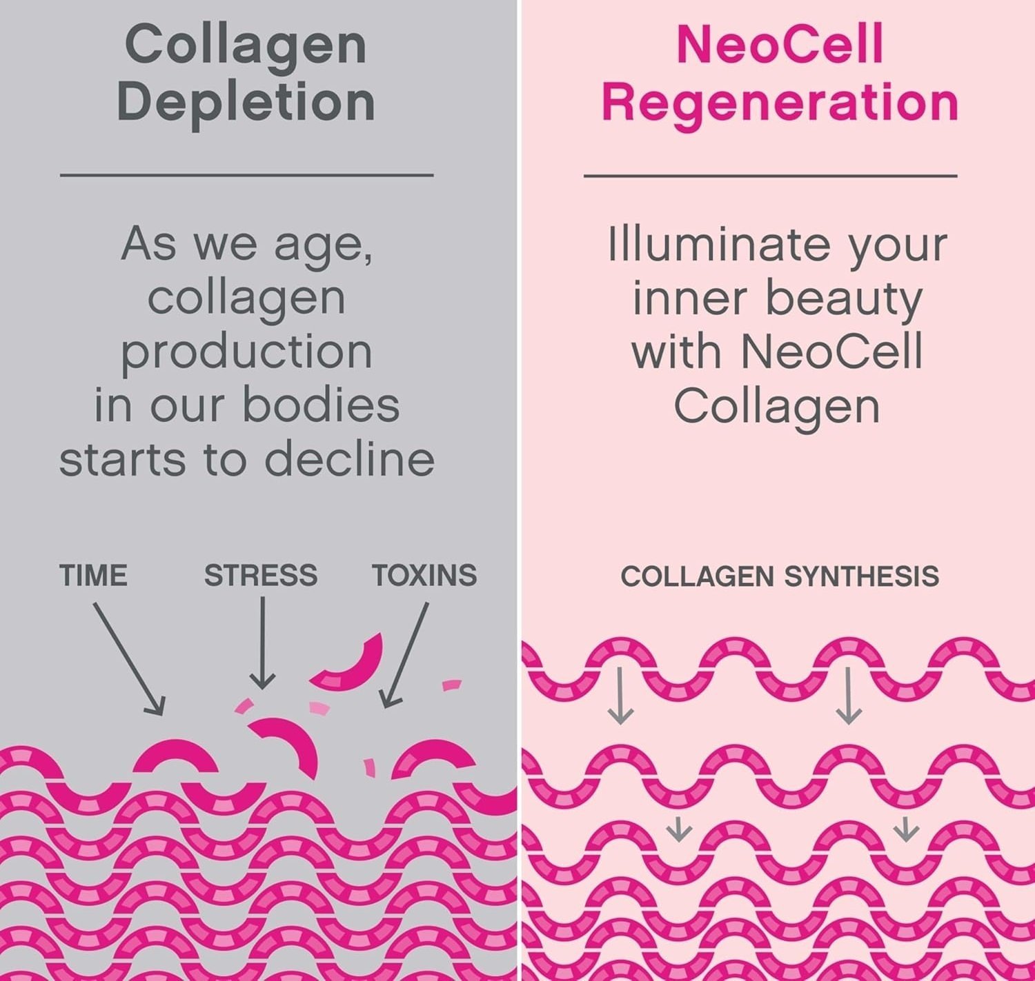 NeoCell-Super-Collagen-Peptides-Unflavored-200-gm-2.jpg