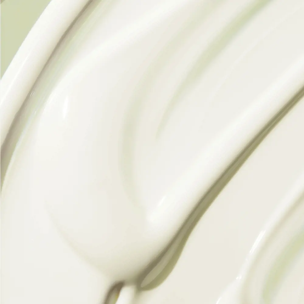 productImage - 2026-01-29T171305.420