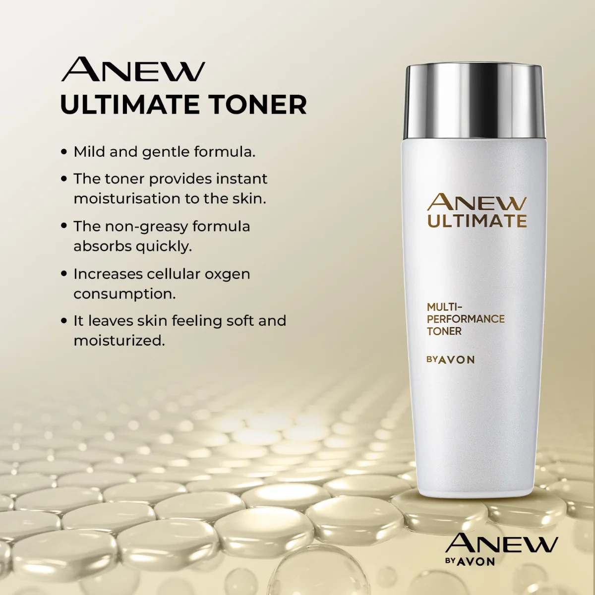Anew 2