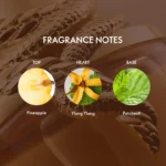productImage (6)